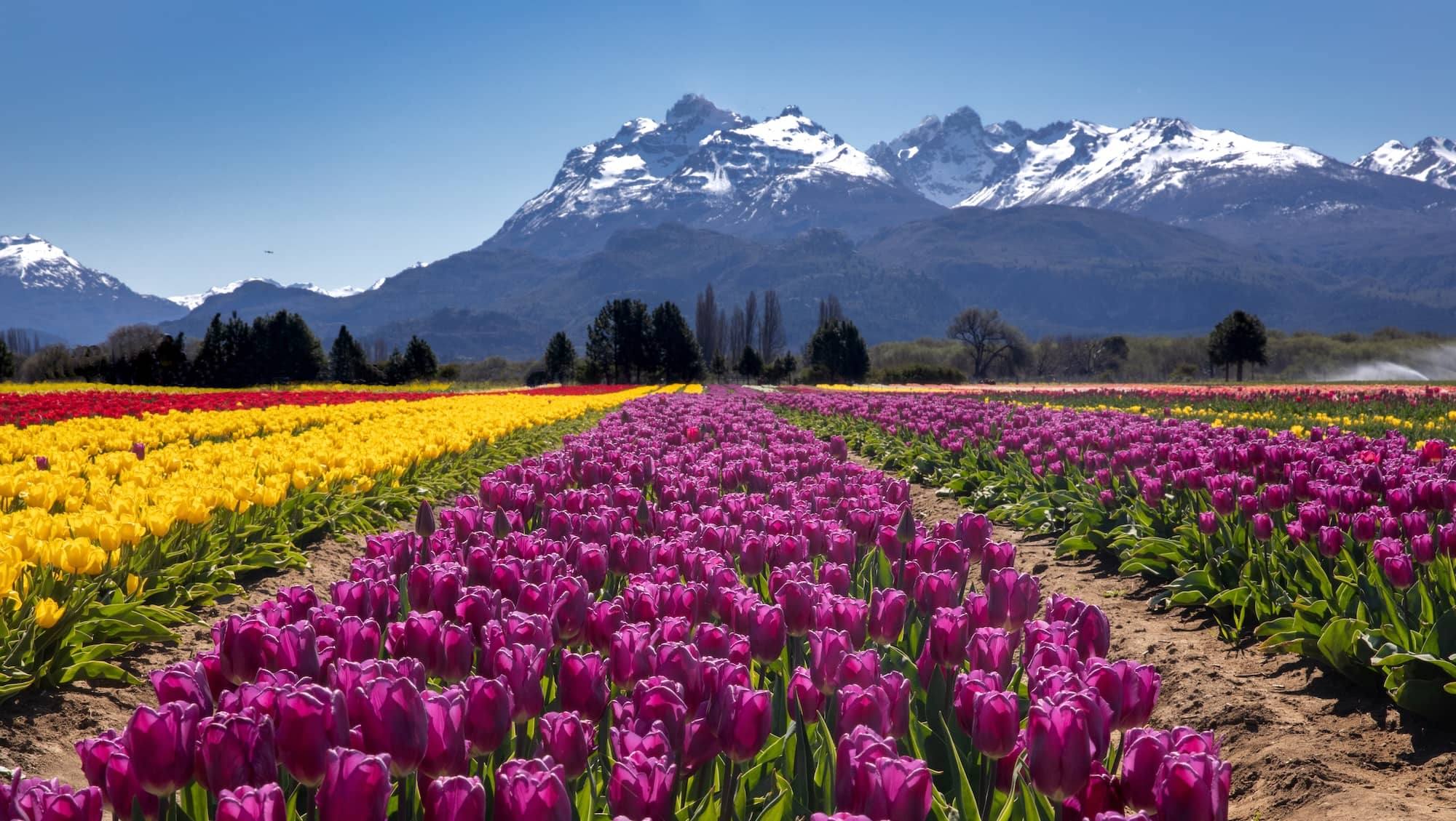 Trevelin Hidden Gems in Patagonia Argentina